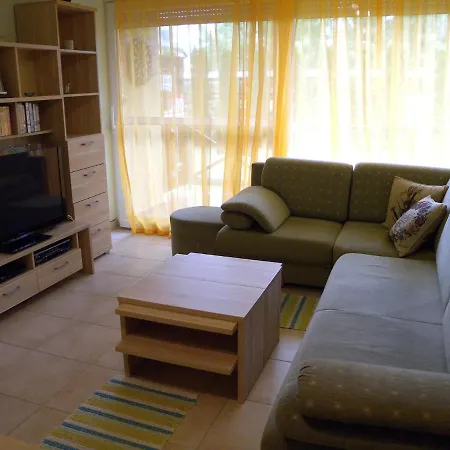 Apartment In Balatonoeszoed 20195